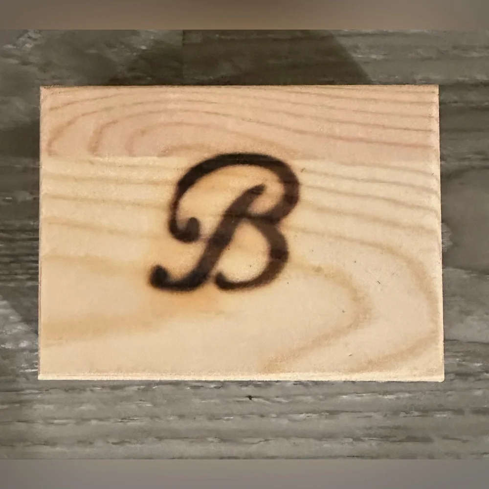 BRACKISH Quail Feather Earrings - Picture 3 of 3